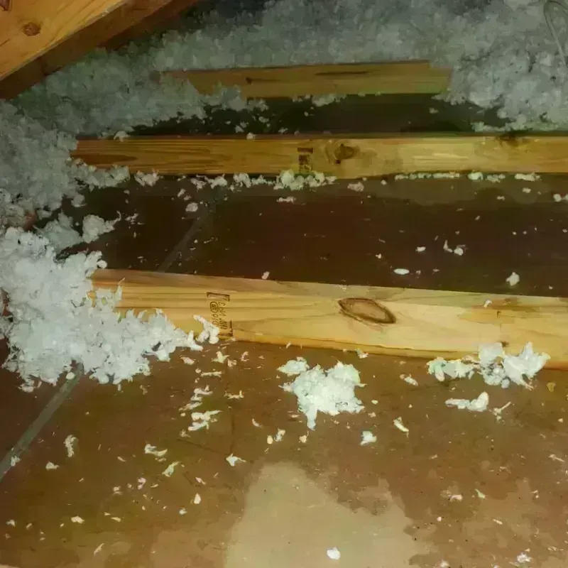 Attic Water Damage in Labette County, KS